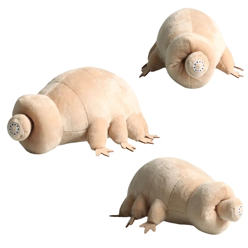 25cm su ayı Tardigrade peluş o - Kids Education Movies incelemesi ve fiyatı