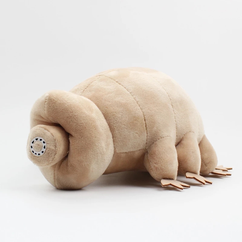 25cm su ayı Tardigrade peluş o - Kids Education Movies incelemesi ve fiyatı