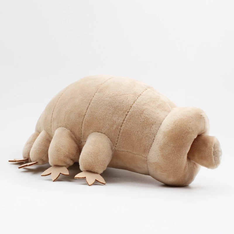 25cm su ayı Tardigrade peluş o - Kids Education Movies incelemesi ve fiyatı