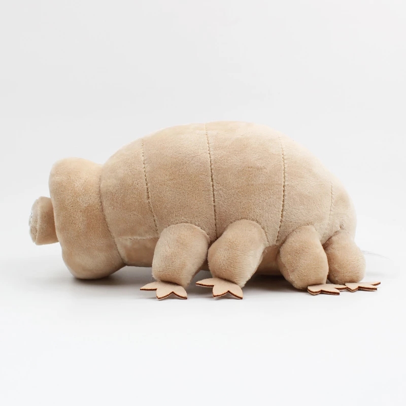 25cm su ayı Tardigrade peluş o - Kids Education Movies incelemesi ve fiyatı