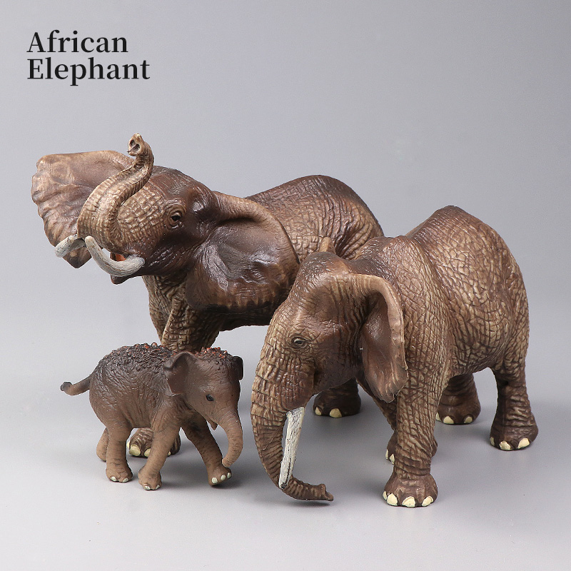 Afrika Vahşi Hayvanlar Büyük M - Kids Education Movies incelemesi ve fiyatı