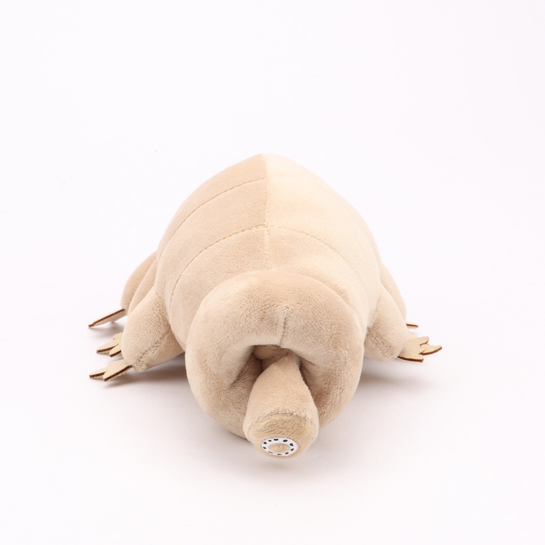 Su Ayısı Tardigrade Peluş Oyun - Kids Education Movies incelemesi ve fiyatı
