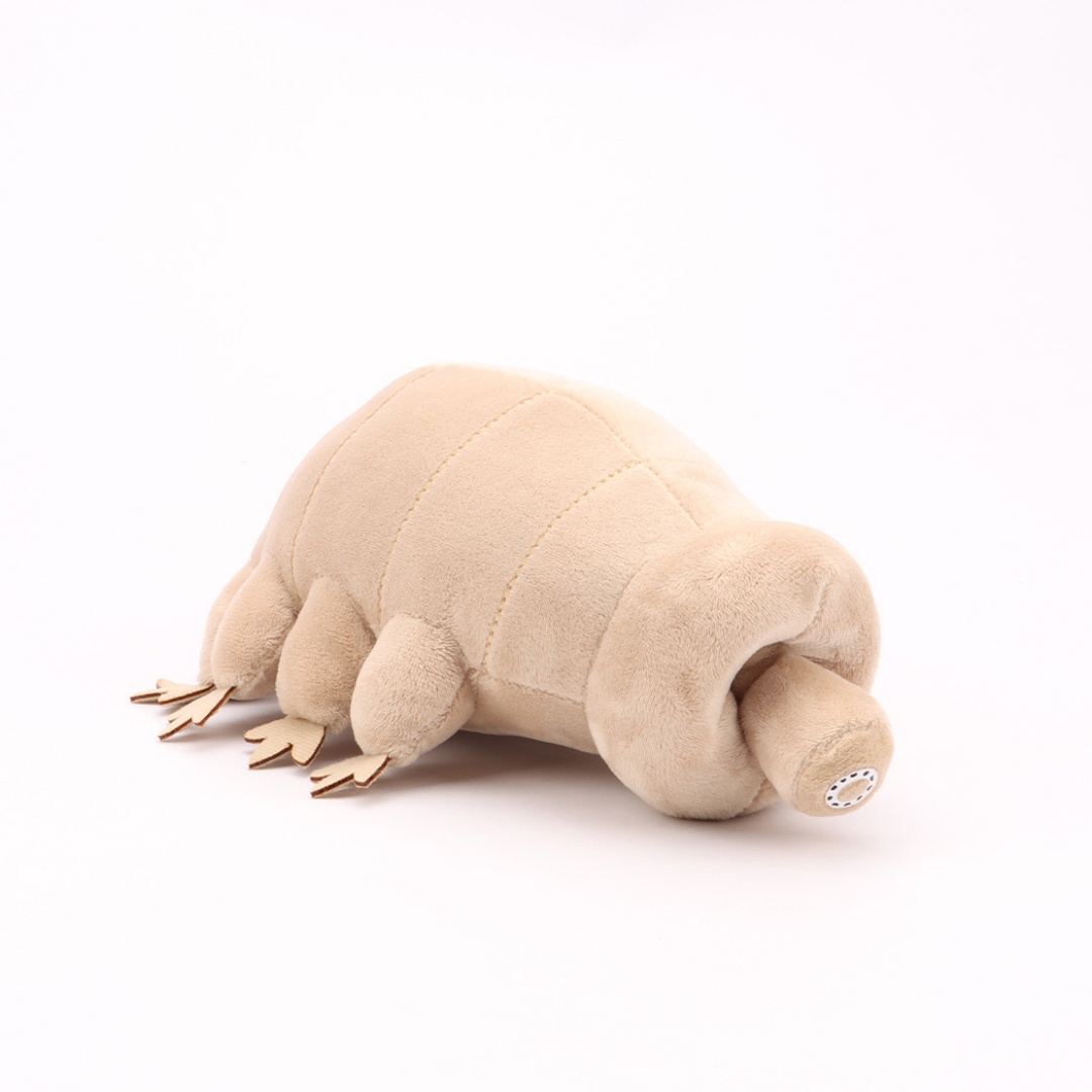 Su Ayısı Tardigrade Peluş Oyun - Kids Education Movies incelemesi ve fiyatı